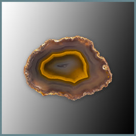 CON157FF Condor Agate Specimen