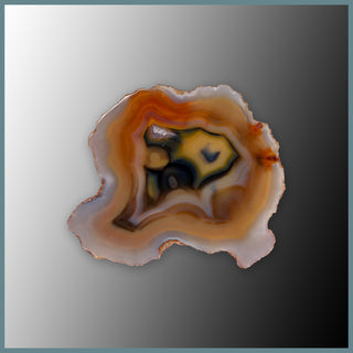 CON161FF Condor Agate Specimen