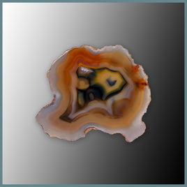 CON161FF Condor Agate Specimen