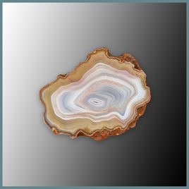 CON162FF Condor Agate Specimen