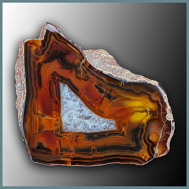 CON193 Condor Agate Specimen