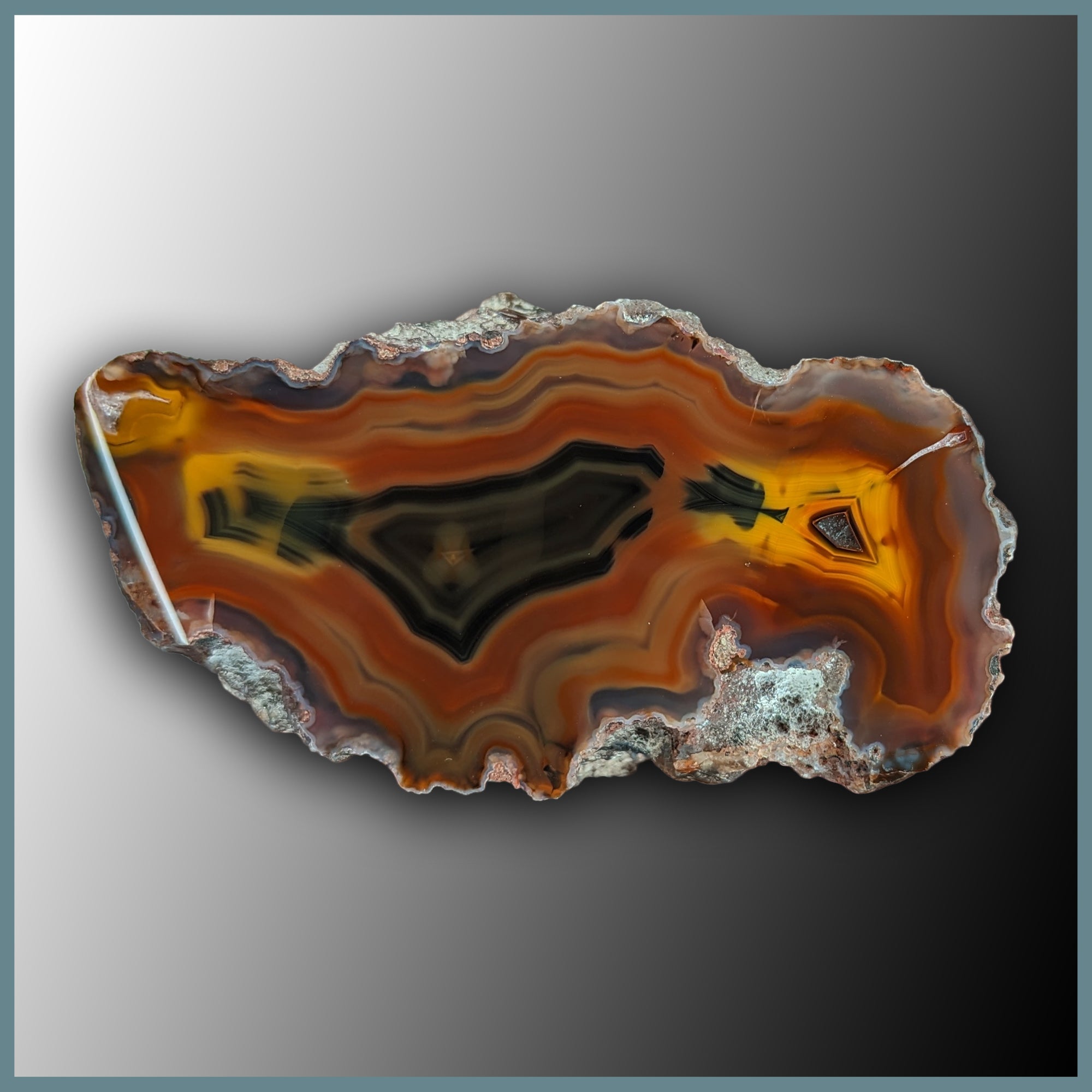 【コレクターズアイテム】コンドルアゲート CON196 Condor Agate Specimen| The Gem Shop, Inc.