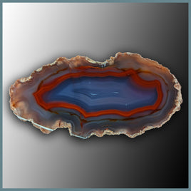 CON202 Condor Agate Specimen