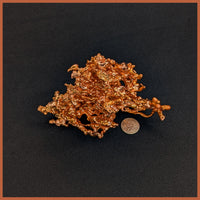 COP230 Sculptured Copper