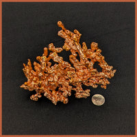 COP233 Sculptured Copper