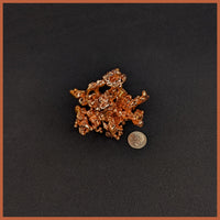 COP236 Sculptured Copper