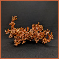 COP240 Sculptured Copper
