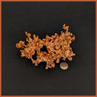 COP240 Sculptured Copper