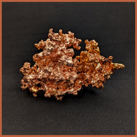 COP241 Sculptured Copper