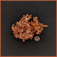 COP241 Sculptured Copper