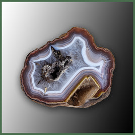 COY106JR Coyamito Agate Specimen