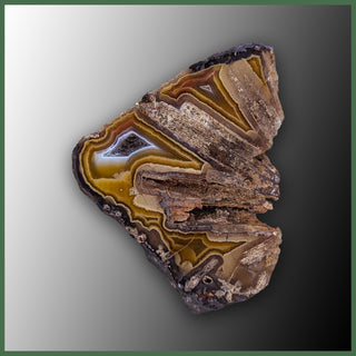 COY110JR Coyamito Agate Specimen
