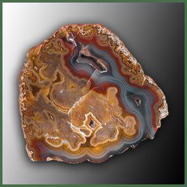 COY456 Coyamito Agate Specimen