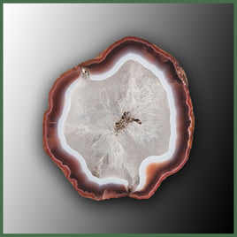 COY465 Coyamito Agate Specimen