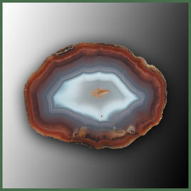 COY468 Coyamito Agate Specimen