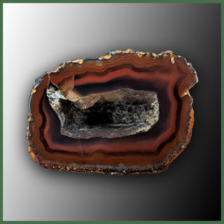 COY471 Coyamito Agate Specimen