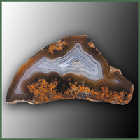 COY473 Coyamito Agate Specimen