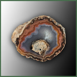 COY475 Coyamito Agate Specimen