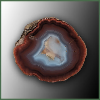 COY478 Coyamito Agate Specimen