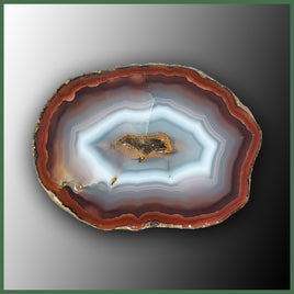 COY483 Coyamito Agate Specimen