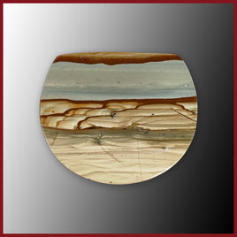 CRP103c Cripple Creek Picture Jasper Cabochon