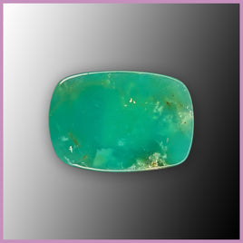 CRY116c Chrysoprase Cabochon