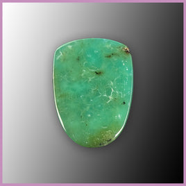 CRY117c Chrysoprase Cabochon