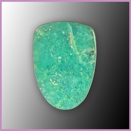 CRY123c Chrysoprase Cabochon