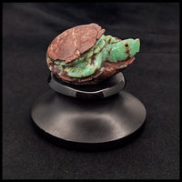 CRYT101 Chrysoprase Turtle Carving