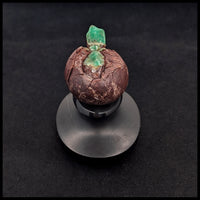 CRYT102 Chrysoprase Turtle Carving