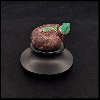 CRYT102 Chrysoprase Turtle Carving