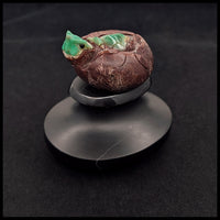 CRYT102 Chrysoprase Turtle Carving
