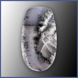 DDO114c Dendritic Opal Cabochon