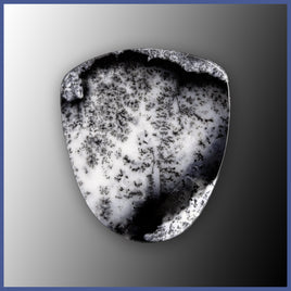 DDO118c Dendritic Opal Cabochon
