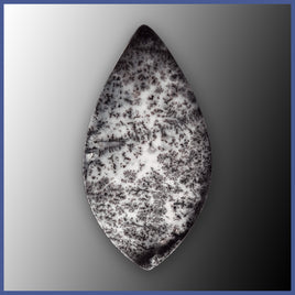 DDO120c Dendritic Opal Cabochon