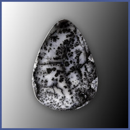 DDO121c Dendritic Opal Cabochon
