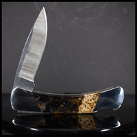 FAS124jr Petrified Wood Knife