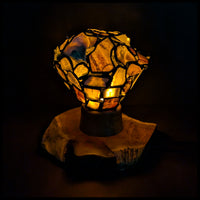 FAS126JP Agate & Mesquite Wood Lamp