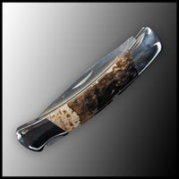 FAS129jr Petrified Wood Knife