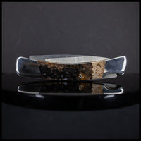 FAS129jr Petrified Wood Knife