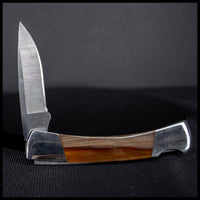 FAS132jr Petrified Wood Knife