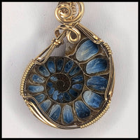 FAS298jd Glacierite Inlayed Ammonite Pendant