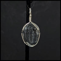 FAS312jd Trilobite Pendant