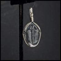 FAS312jd Trilobite Pendant