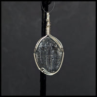 FAS312jd Trilobite Pendant