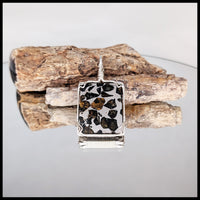 FAS335JD Pallasite Meteorite Pendant