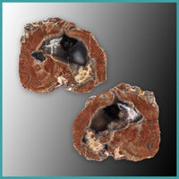 FSH101pr Fishhook Thunderegg Specimen Pair