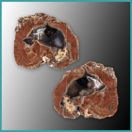 FSH101pr Fishhook Thunderegg Specimen Pair