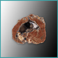 FSH101pr Fishhook Thunderegg Specimen Pair