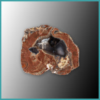FSH101pr Fishhook Thunderegg Specimen Pair